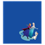 Picture of KR Strikeforce Frozen Bowling Ball Cleaning Shammy